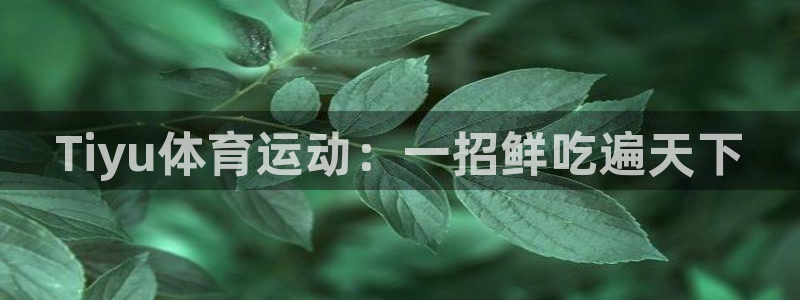 风速体育app下载安装最新版本：Tiyu体育运动：一招鲜吃遍天下