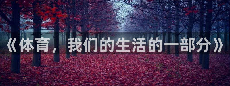 风速体育app下载官网最新版：《体育，我们的生活的一部分》