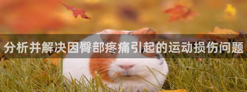 风速体育还有什么体育：分析并解决因臀部疼痛引起的运动损伤问题