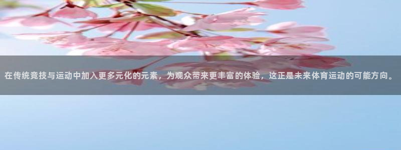 风速体育nba直播：在传统竞技与运动中加入更多元化的元素，为观众带来更丰富的体验，这正是未来体育运动的可能方向。