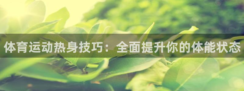 风速体育直播篮球nba回放：体育运动热身技巧：全面提升你的体能状态
