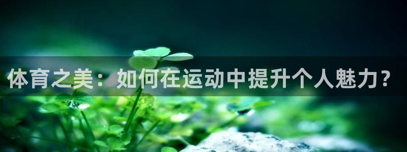 风速体育nba直播：体育之美：如何在运动中提升个人魅力？