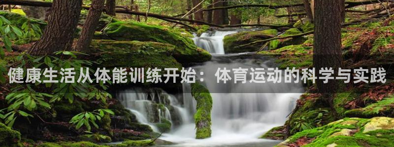 风速体育用品有限公司：健康生活从体能训练开始：体育运动的科学与实践