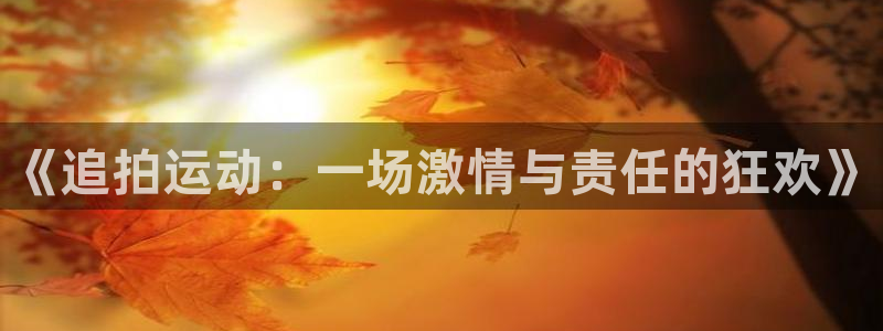 安徽风速体育科技有限公司：《追拍运动：一场激情与责任的狂欢》