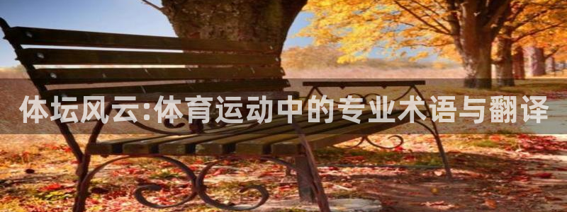 风速体育cba：体坛风云:体育运动中的专业术语与翻译