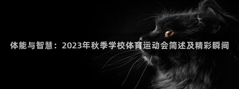 风速体育直播篮球nba回放：体能与智慧：2023年秋季学校体育运动会简述及精彩瞬间