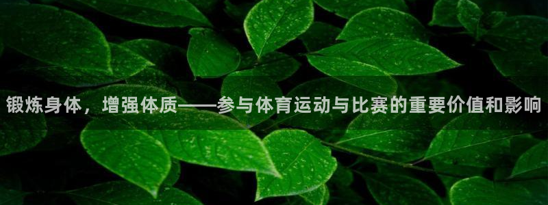 风速体育老板是谁：锻炼身体，增强体质——参与体育运动与比赛的重要价值和影响
